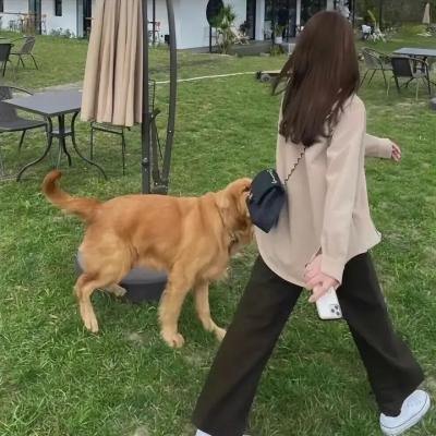 分道不扬镳